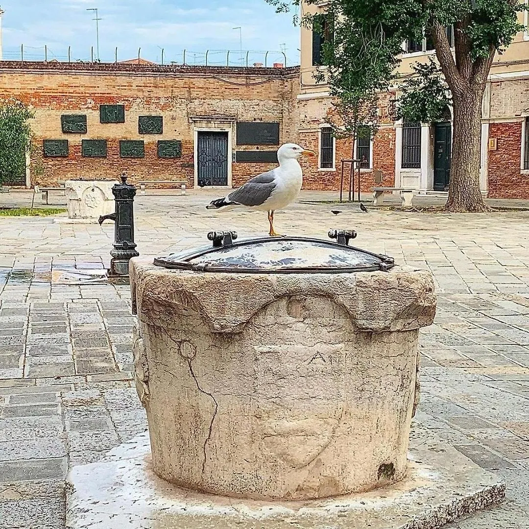 Ca'Rosa Apartment Venice